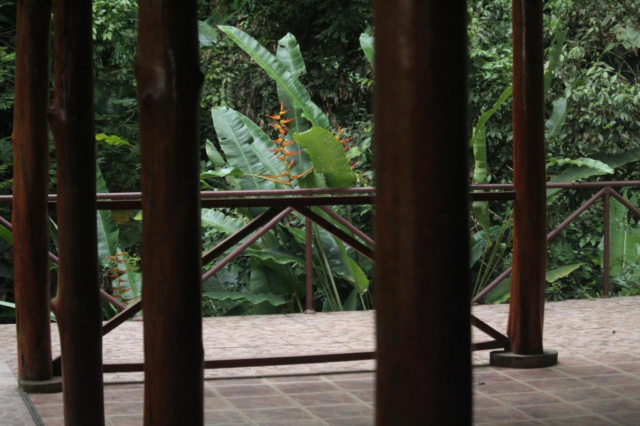 Iguana Libre Hotel Dominical Buitenkant foto